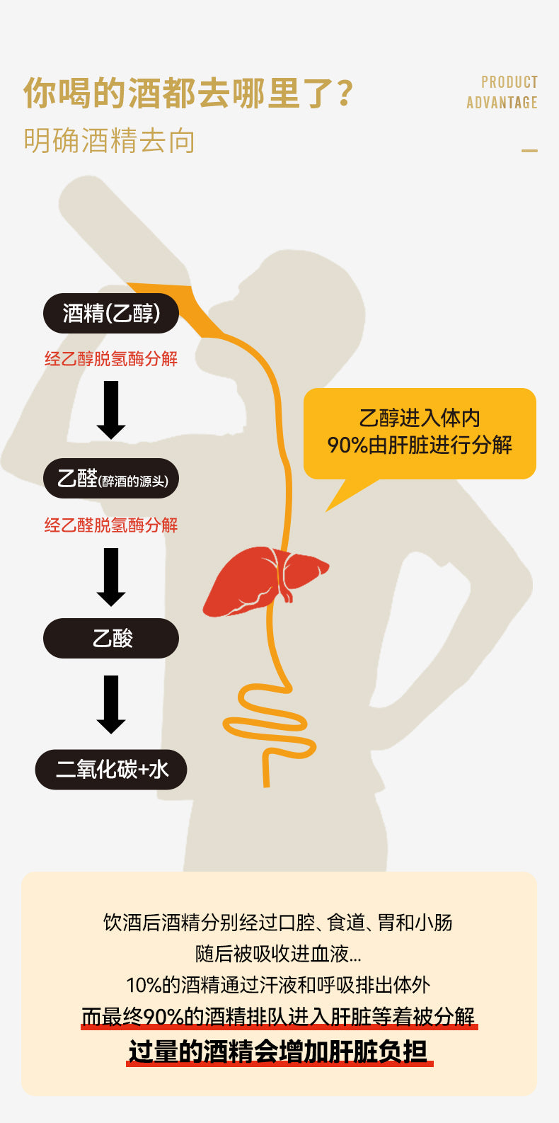 Poll Box Kanpai Pills – Japanese Hangover Relief & Liver Support Supplement