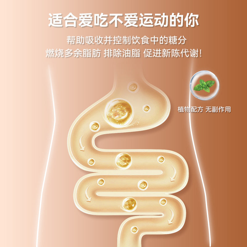 HAKUTAMA Metabo Burn – Natural Fat Metabolism & Weight Management Supplement