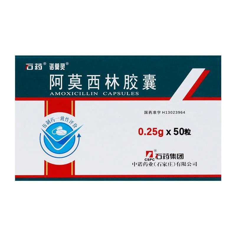 HAKUTAMA Amoxicillin capsules